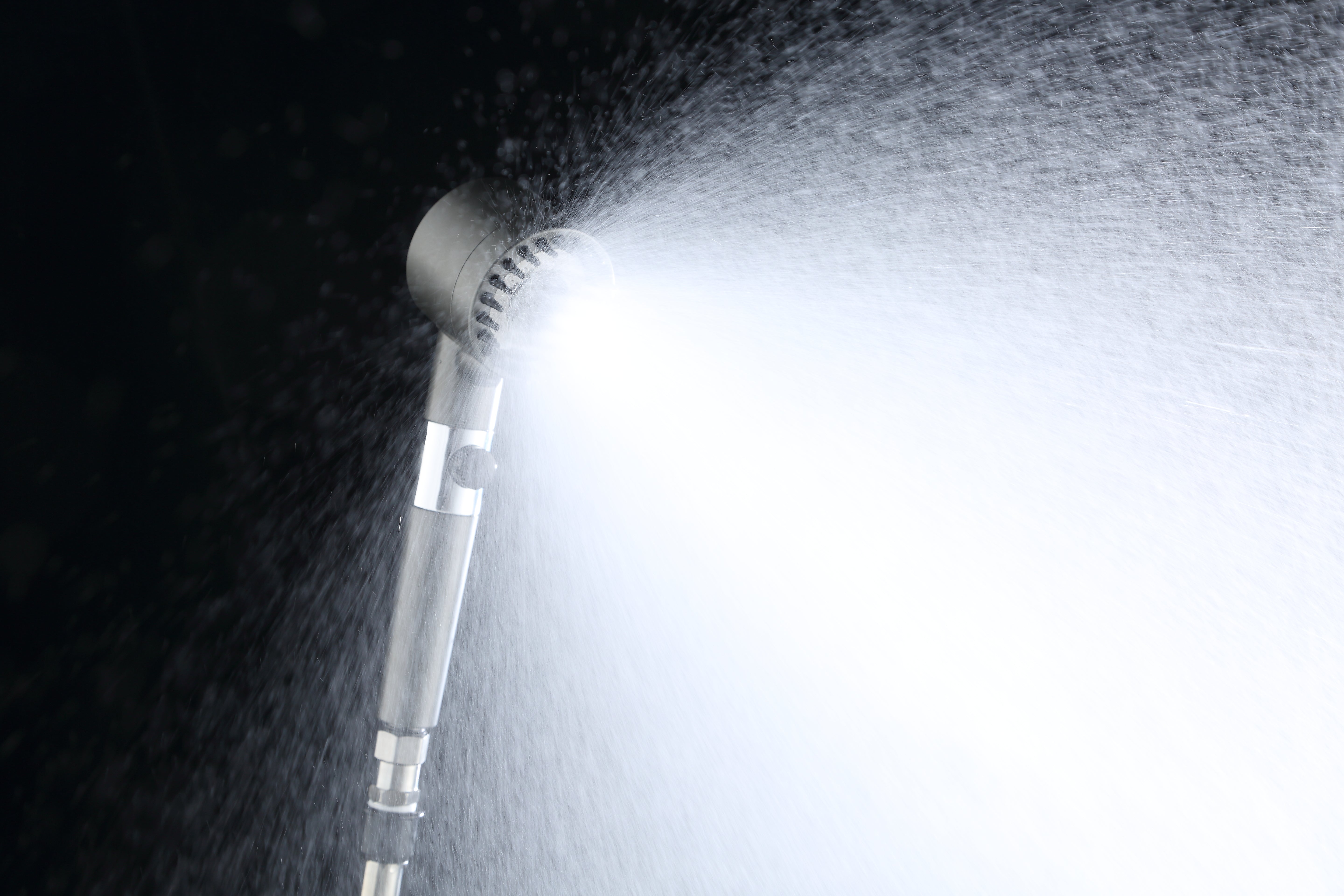 Filtered Showerhead